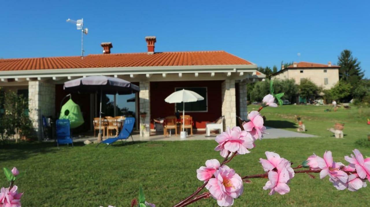 Rosa Dei Venti Sul Garda Apartment Bardolino Exterior photo